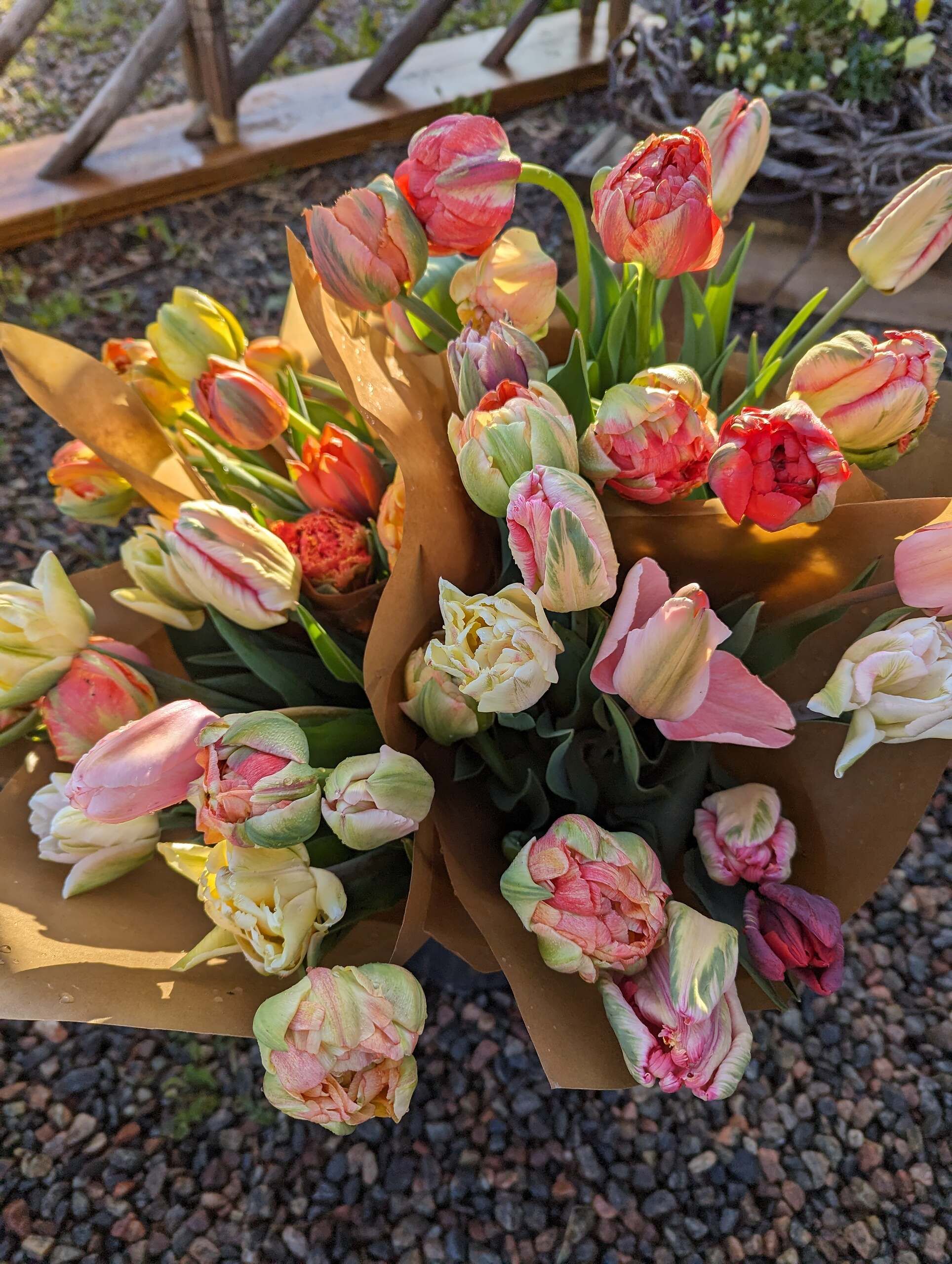 Bukett med tulpaner i rosa, gult och orange