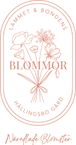 LB_logo_oval_korall